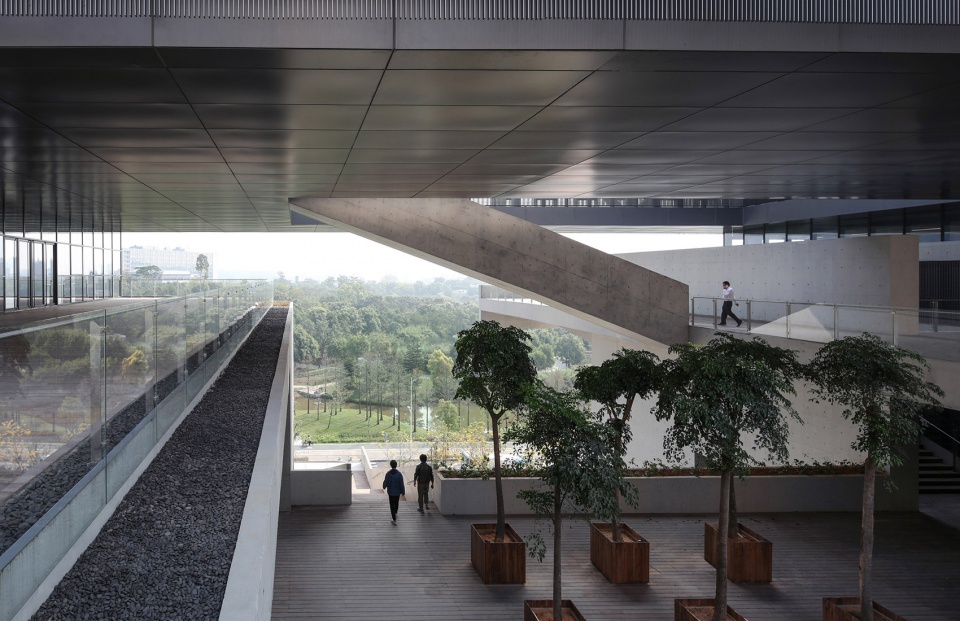 pingshan art museum shenzhen vector architects
