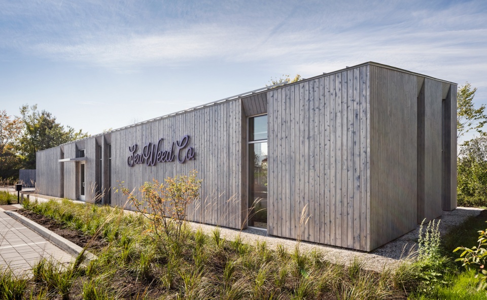 seaweed flagship by maam 1