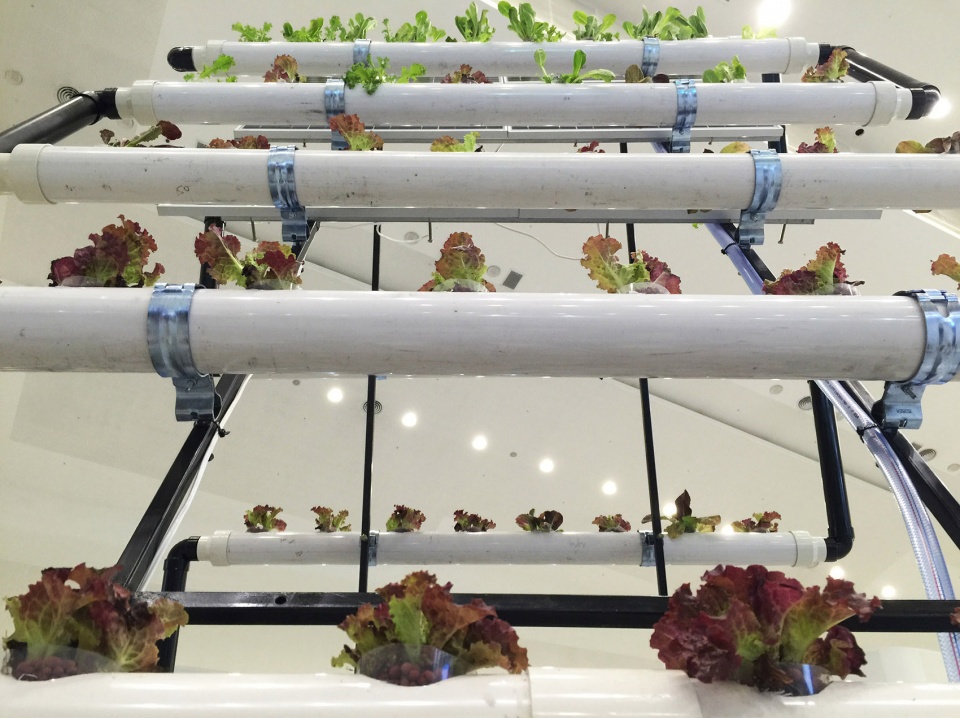 gooood archive Urban Agriculture 1