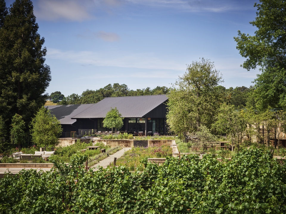 house of flowers by walker warner architects