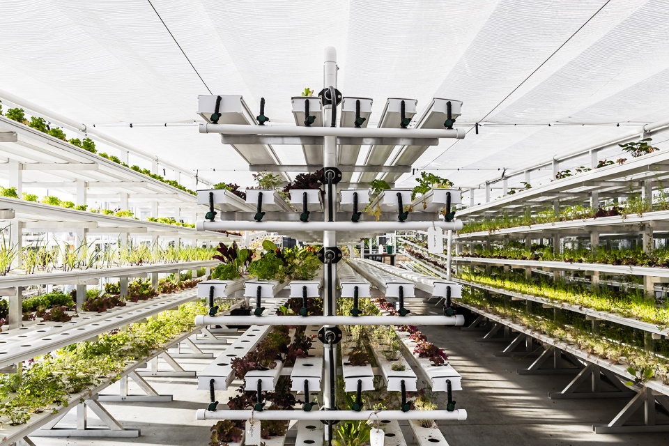 gooood archive Urban Agriculture