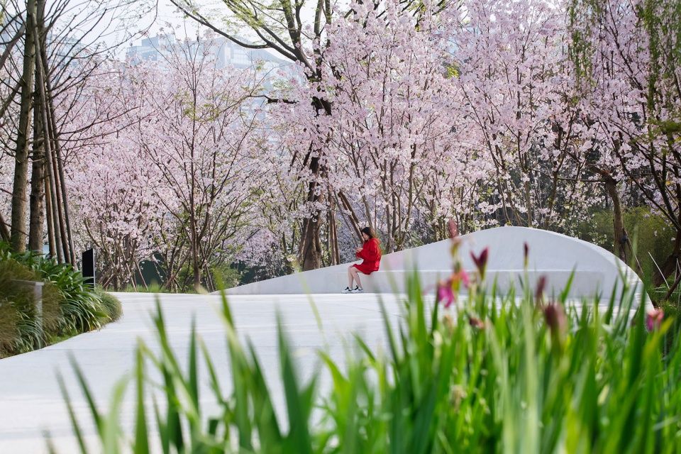 Chengdu Luxelakes Kayak Channel Landscape Project WISTO DESIGN