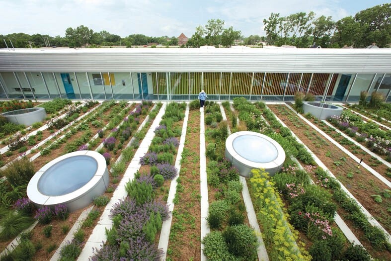 gooood archive Urban Agriculture
