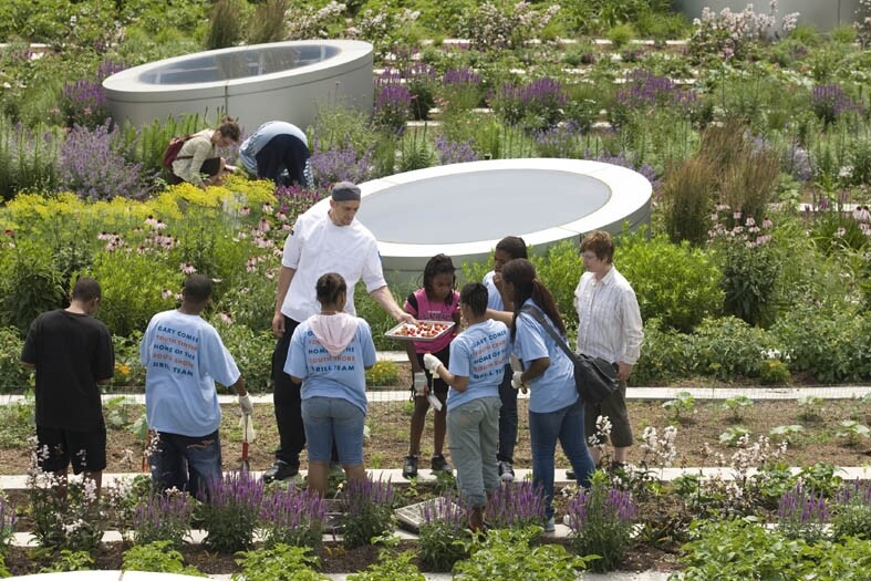 gooood archive Urban Agriculture