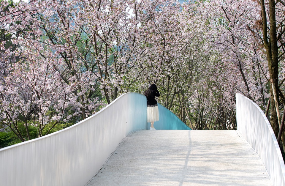 Chengdu Luxelakes Kayak Channel Landscape Project WISTO DESIGN