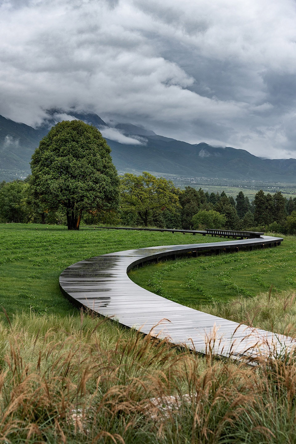 hylla alpine garden china by zscape