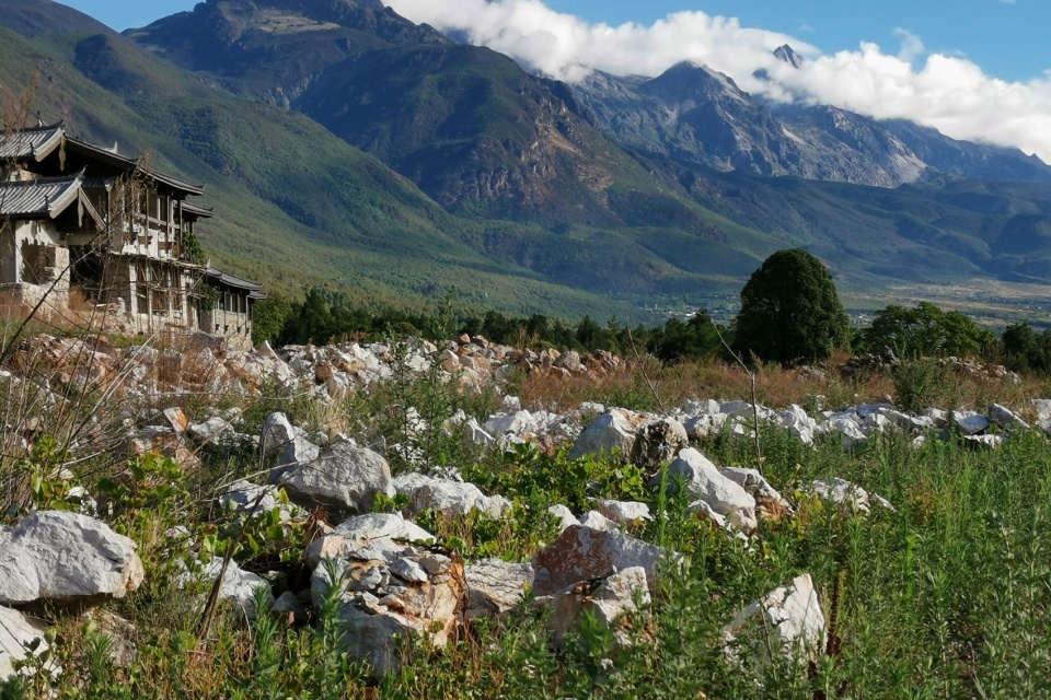 hylla alpine garden china by zscape