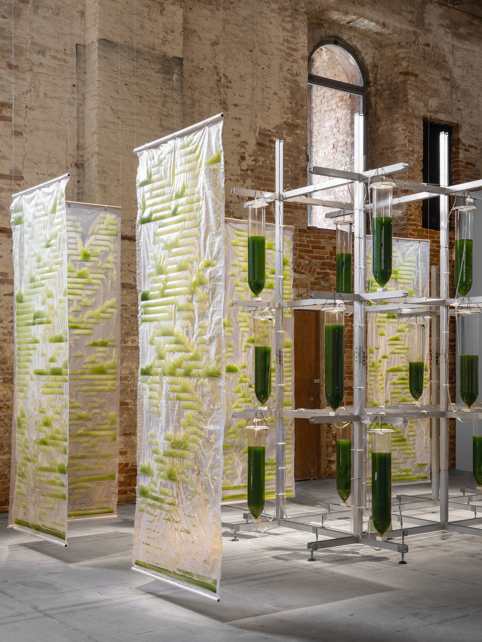 bit bio bot by ecologicstudio