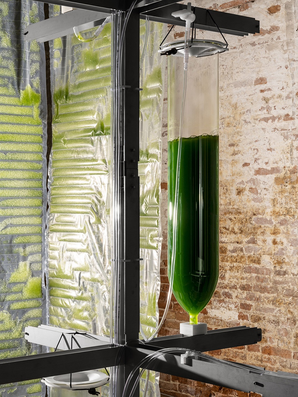 bit bio bot by ecologicstudio