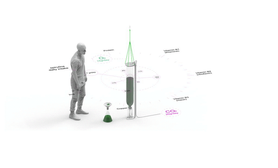 bit bio bot by ecologicstudio
