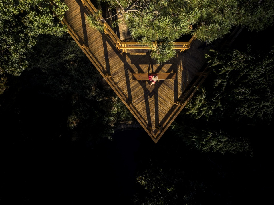 treetop walk serralves by alvaro siza