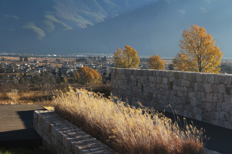 hylla alpine garden china by zscape