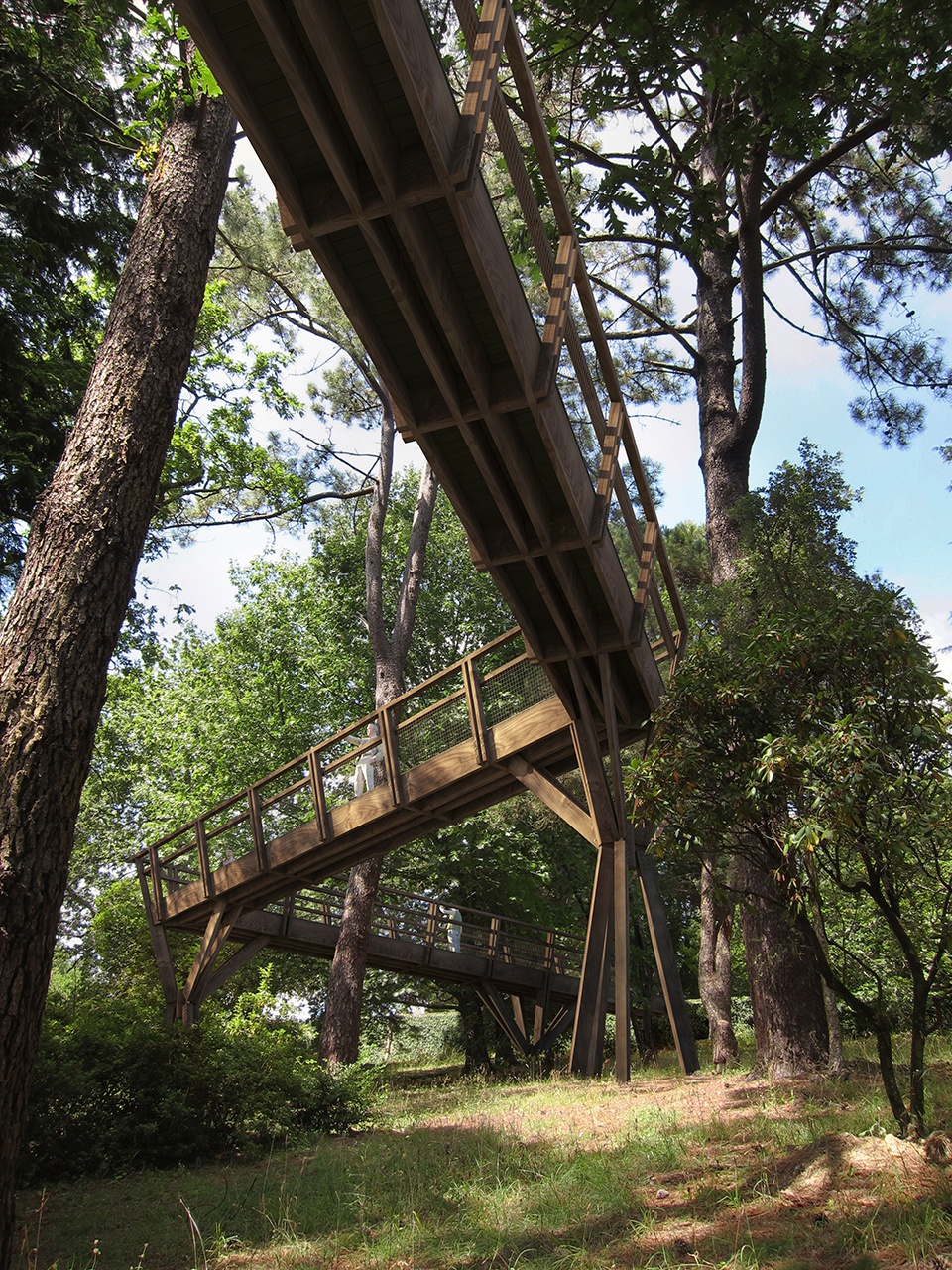 treetop walk serralves by alvaro siza