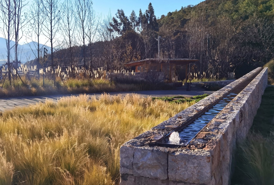 hylla alpine garden china by zscape