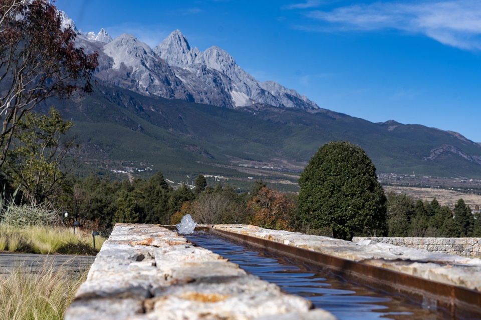 hylla alpine garden china by zscape