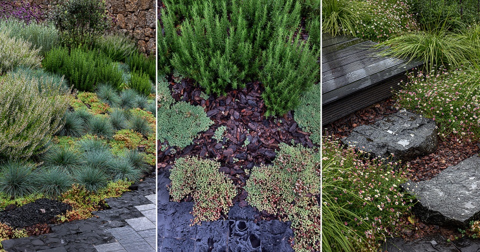 hylla alpine garden china by zscape