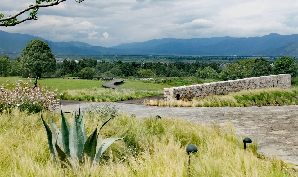 hylla alpine garden china by zscape