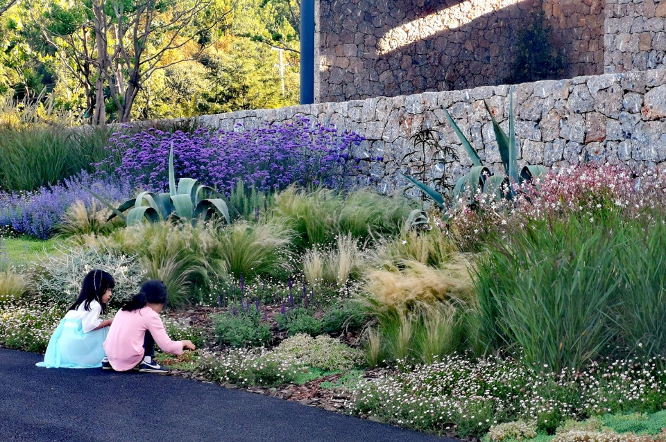 hylla alpine garden china by zscape