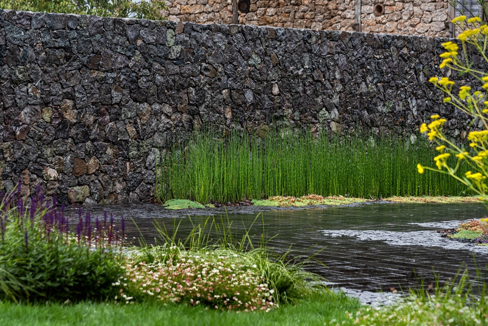 hylla alpine garden china by zscape