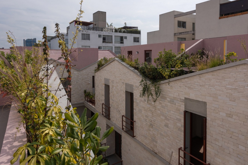Casa Jardin Escandon CPDA Arquitectos