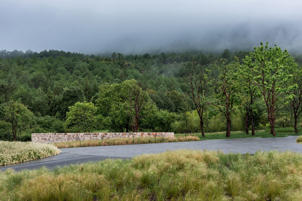 hylla alpine garden china by zscape