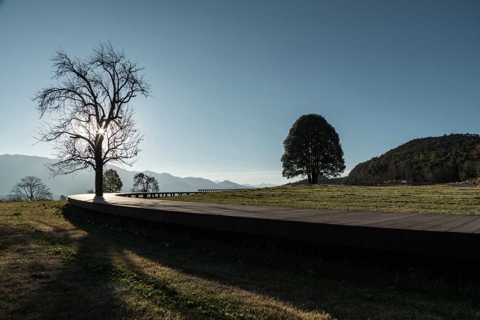 hylla alpine garden china by zscape