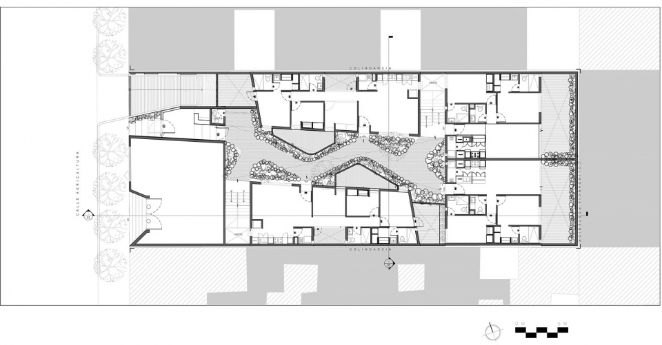 Casa Jardin Escandon CPDA Arquitectos 2