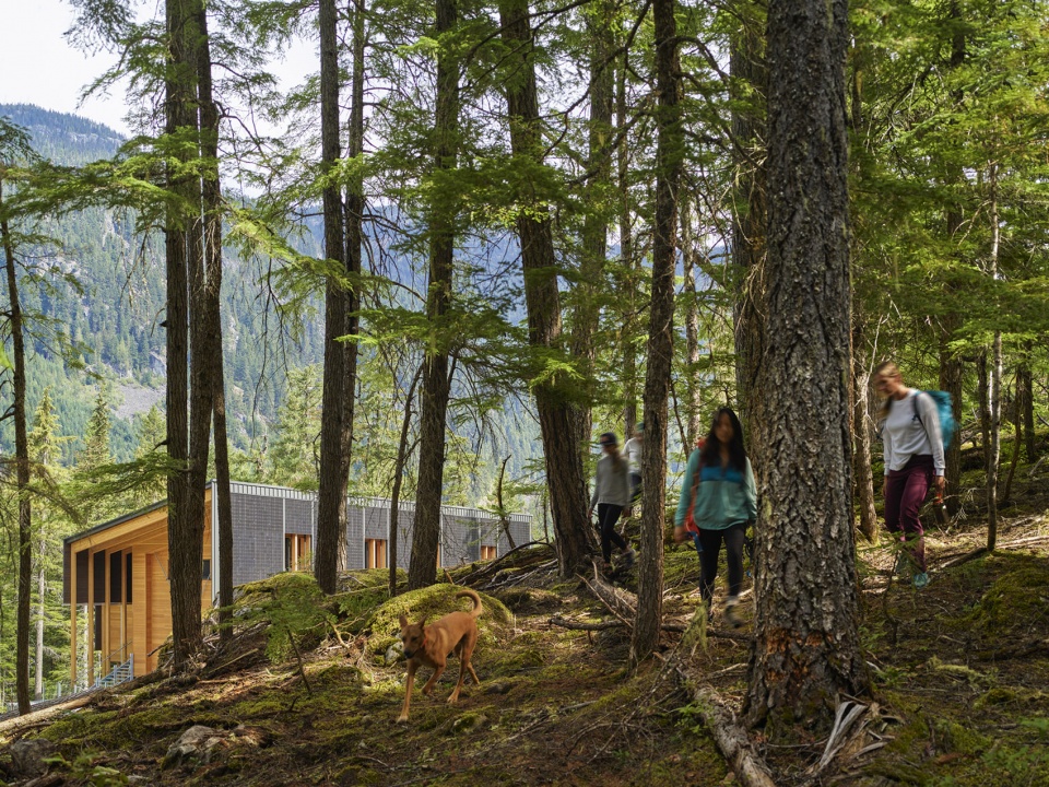 SoLo PerkinsWill