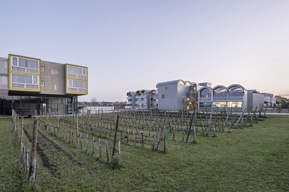Loisium Hotel Expansion Langenlois by Steven Holl Architects