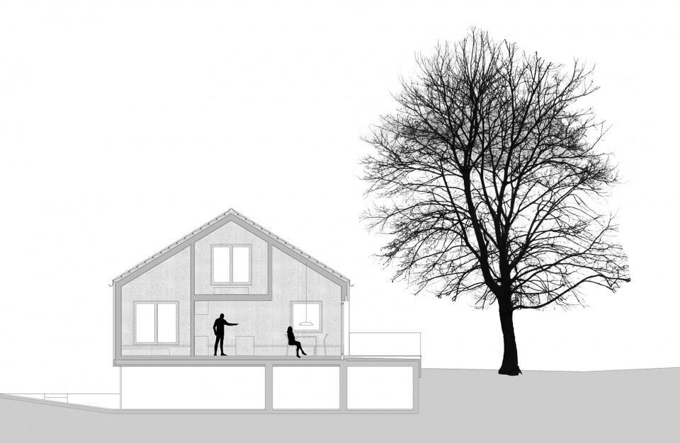 house made of spruce by mwarchitekten