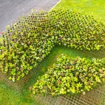 苔藓球森林，费城 / Nomad Studio