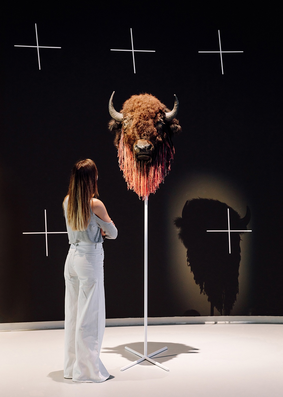 x is not a small country exhibition by bureau
