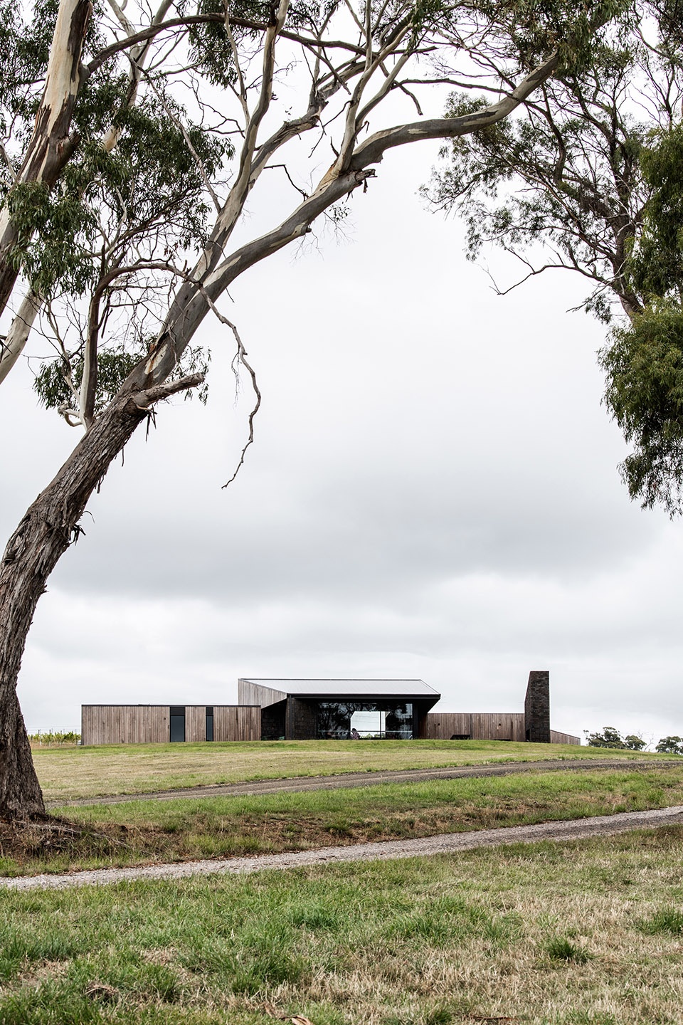 Stoney Rise Wine Cumulus Studio