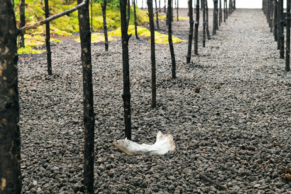 invocation for hope by superflux