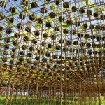 苔藓球森林，费城 / Nomad Studio