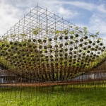 苔藓球森林，费城 / Nomad Studio