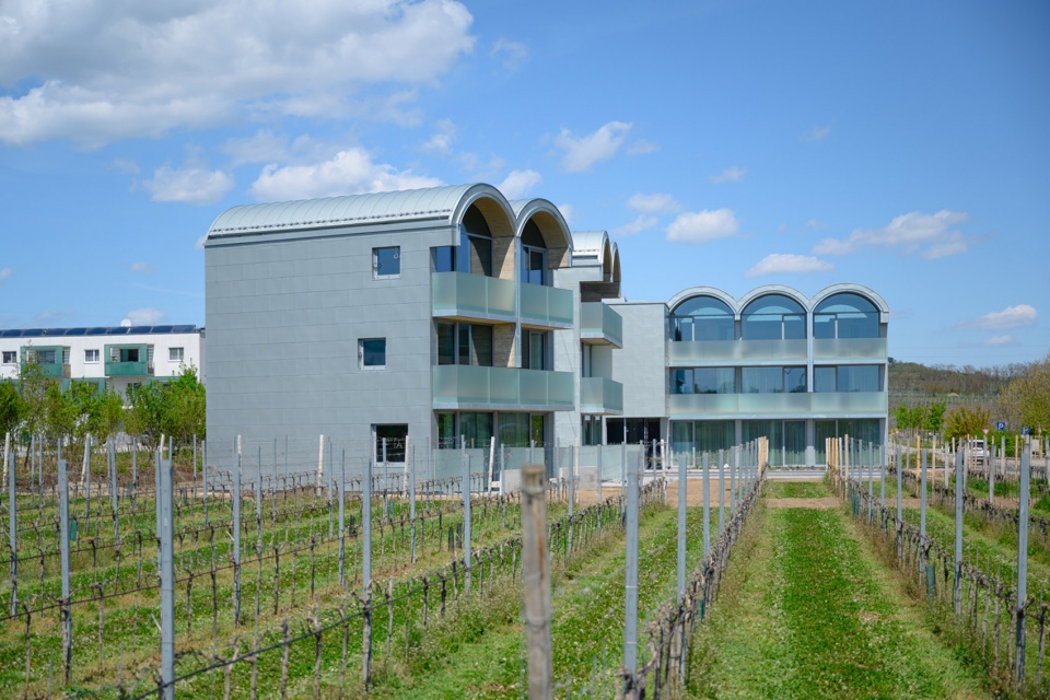 Loisium Hotel Expansion Langenlois by Steven Holl Architects