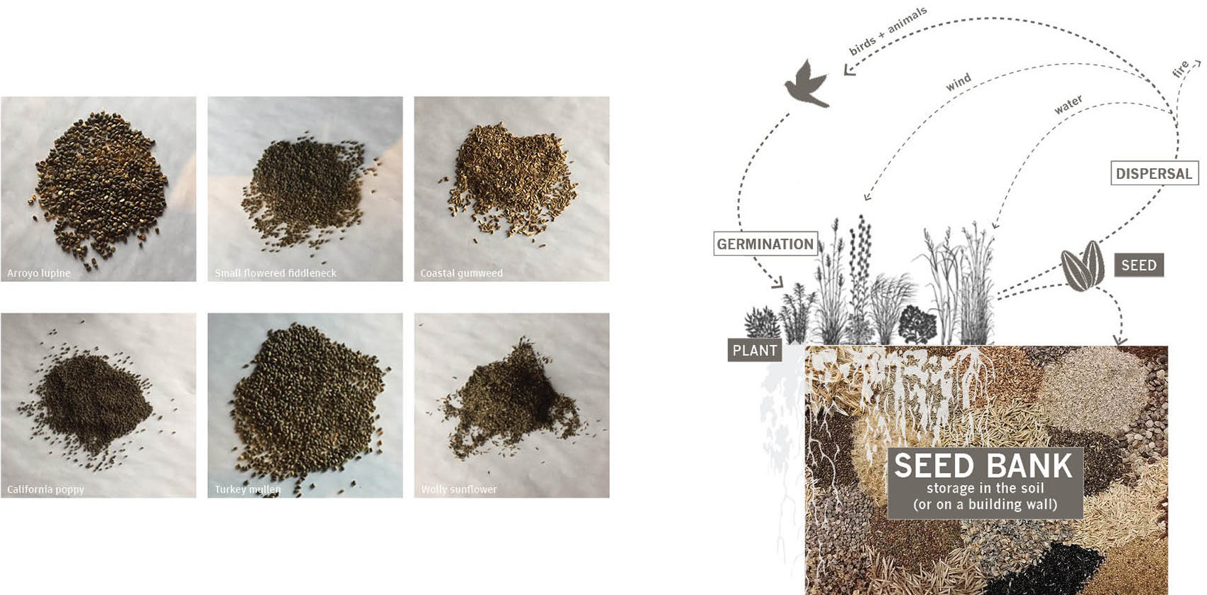 gooood archive asla award of communications