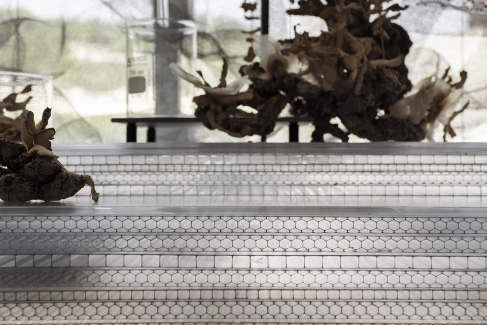 Carbon Field juliArt by Waterfrom Design