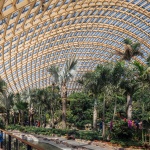 太原植物园 / Delugan Meissl Associated Architects