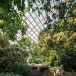 太原植物园 / Delugan Meissl Associated Architects