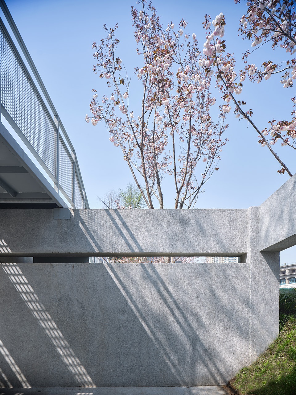 Sakura Valley Original Design Studio