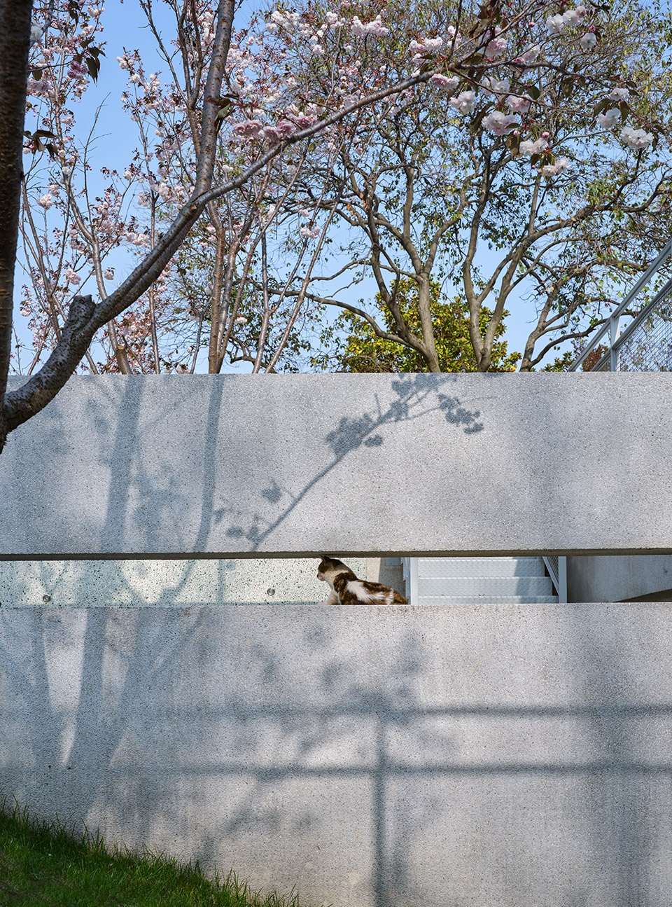 Sakura Valley Original Design Studio