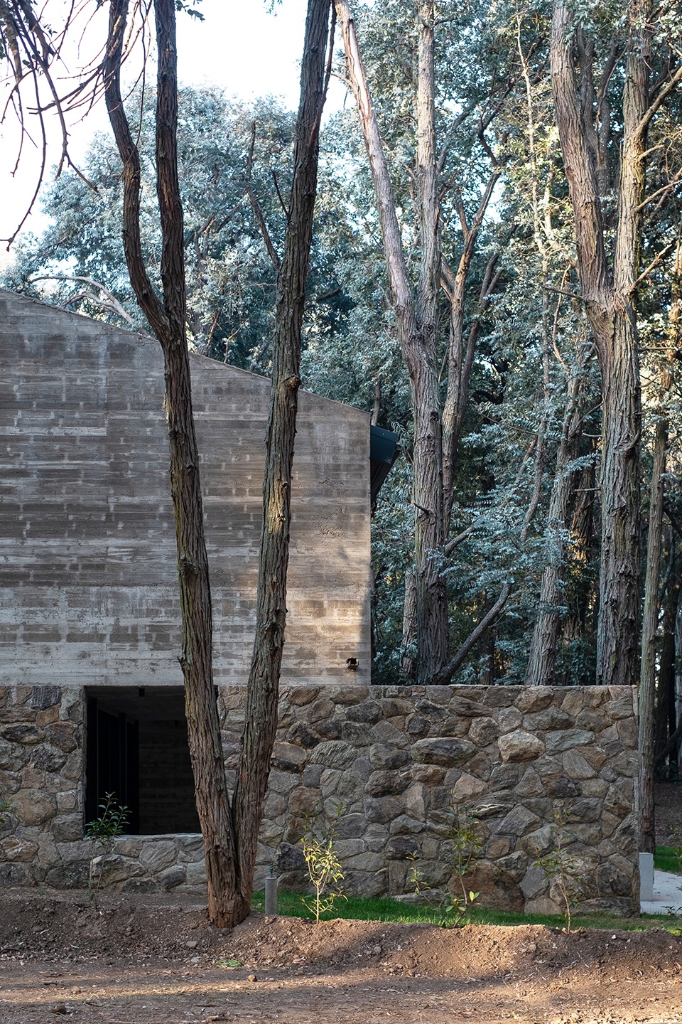 house in molvento by tectum arquitectura