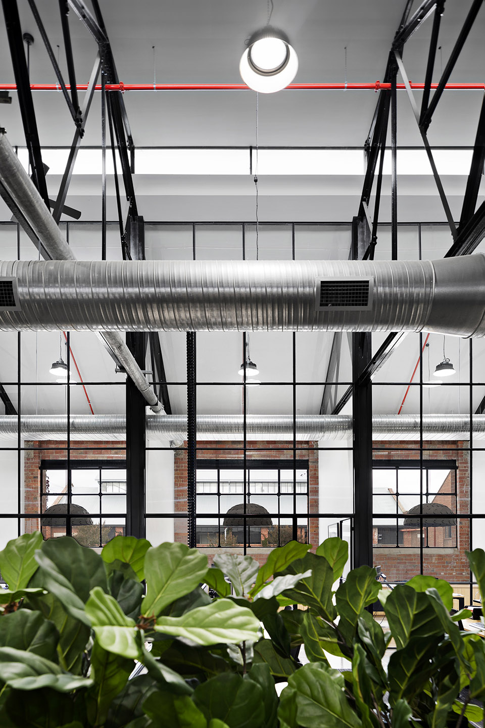 west carr harvey office design by studiomint design group