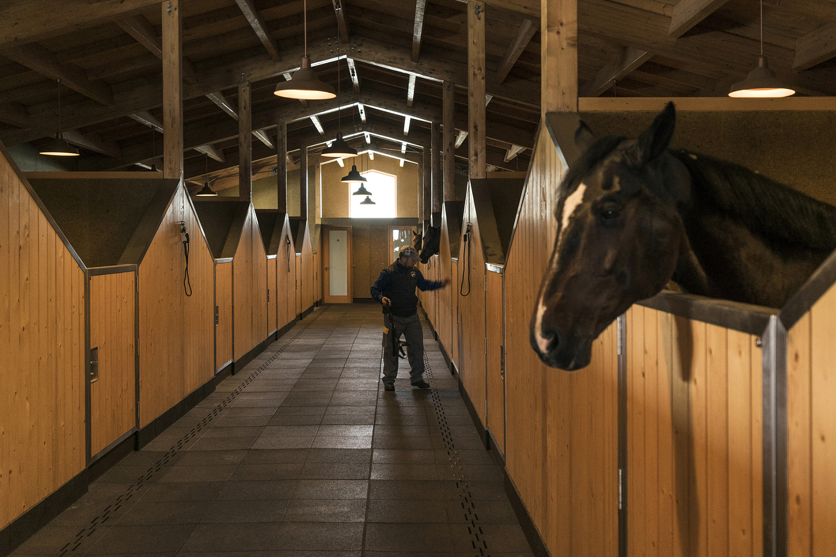 equestrian centre by carlos castanheira