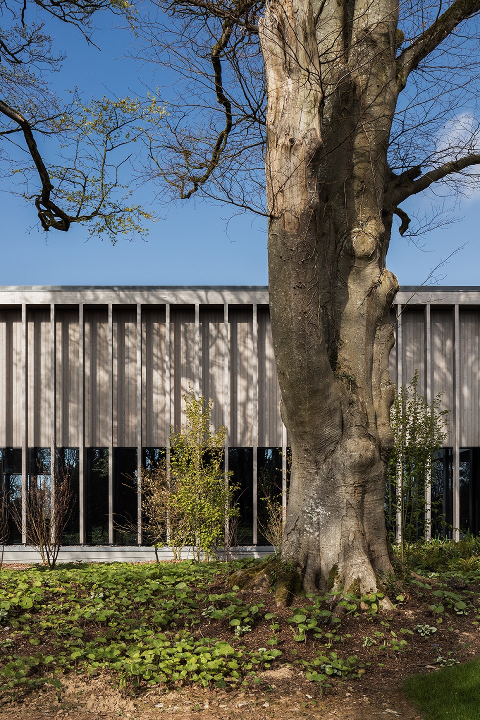 the padel club by healy partners architects
