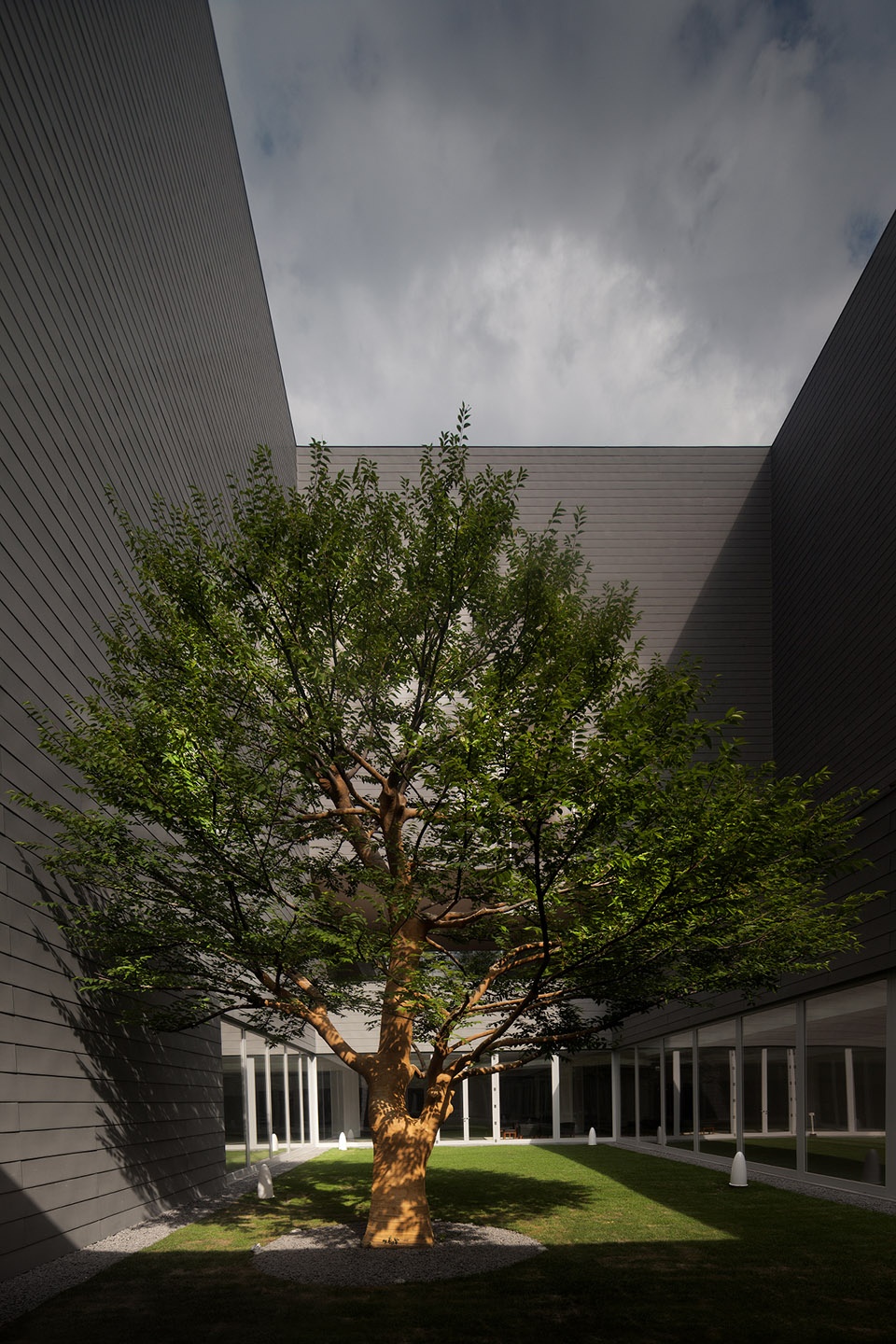 Amore Pacific Research and Design Center Alvaro Siza Carlos Castanheira Kim Jang Kyu