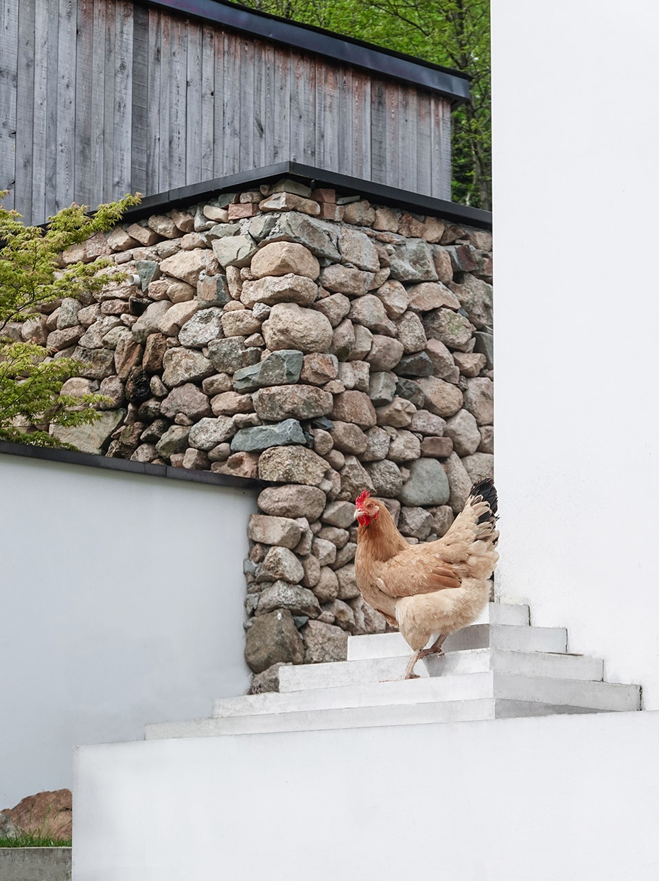 Cloudy Courtyard China by One Take Architects