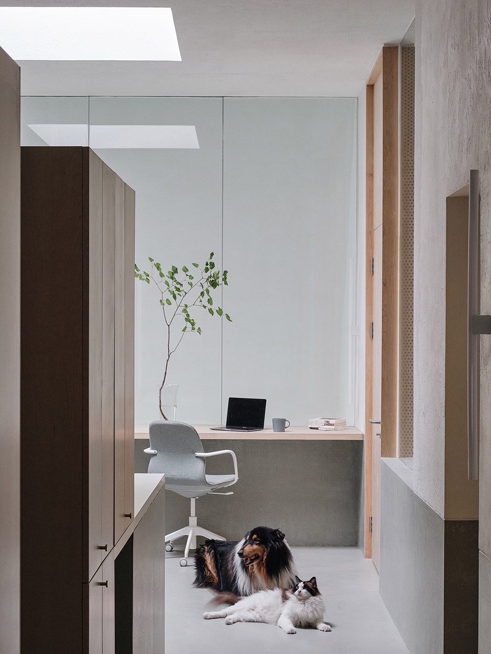 HOUSE HD MDDM STUDIO